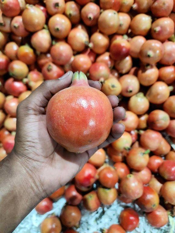 Fresh Pomegranate